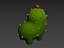 Cactus Character 3D