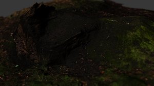 tree stump 3D model