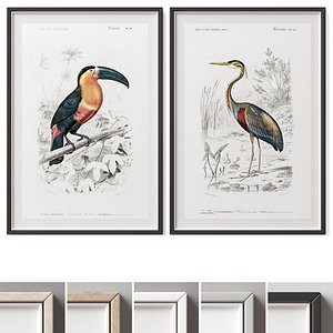 Picture Frames Set-523 3D model