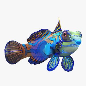 Mandarinfish Rigged 3D Model