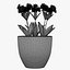Flower 10