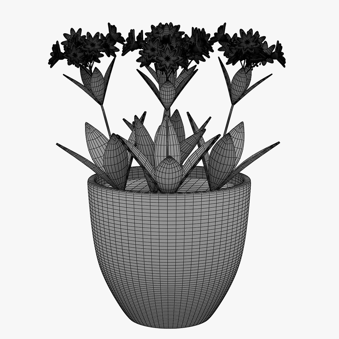 flower 3D model https://p.turbosquid.com/ts-thumb/cm/Zbv65r/BmI995ga/00701/jpg/1565349259/1920x1080/fit_q87/18f2e8ce268e3dba1bd1a6b17eb33268ec1c5fd8/00701.jpg