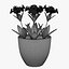 Flower 10