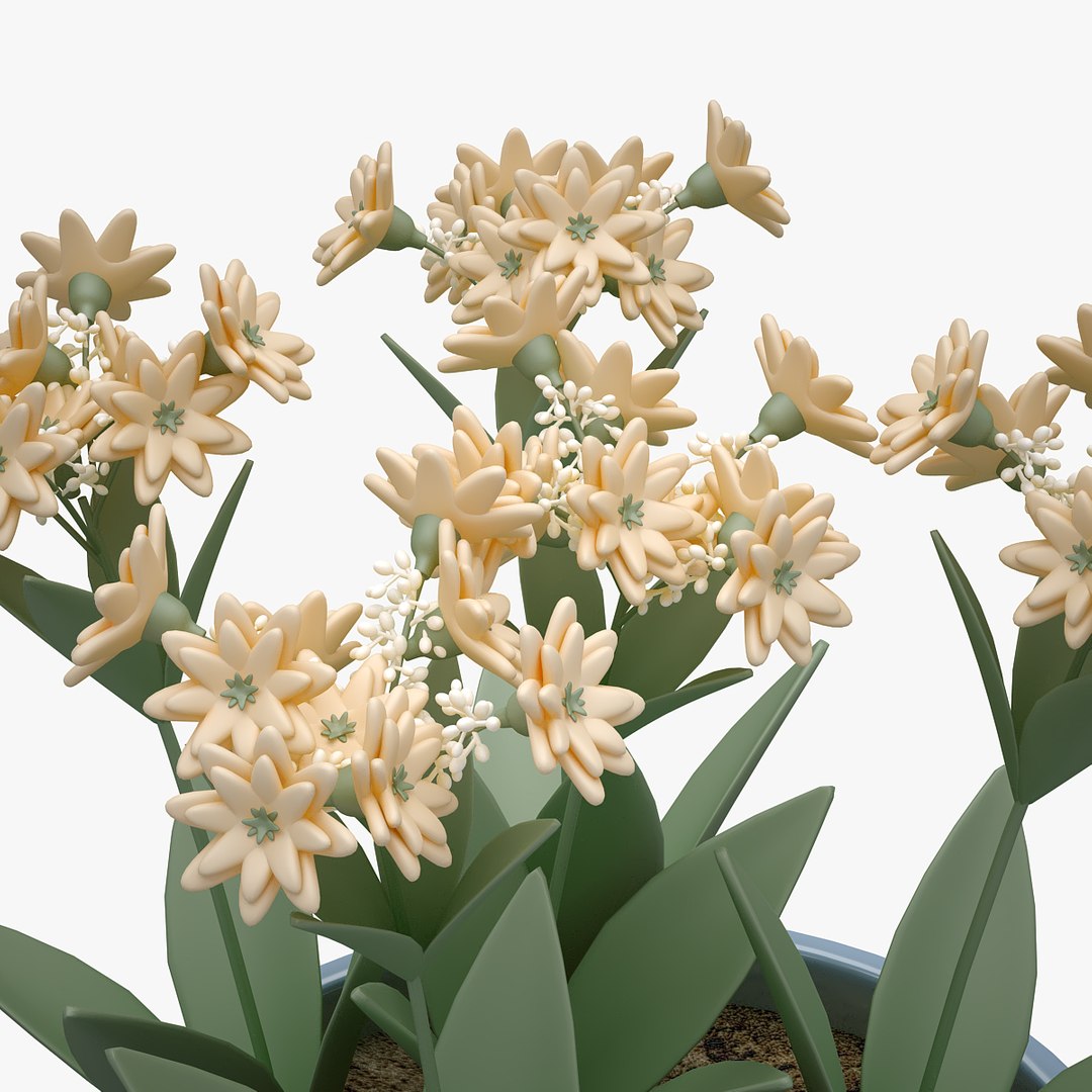 flower 3D model https://p.turbosquid.com/ts-thumb/cm/Zbv65r/QkuMTagU/00501/jpg/1565349227/1920x1080/fit_q87/4357fcf0207ad24dafd6f547fe1256960f2a724e/00501.jpg