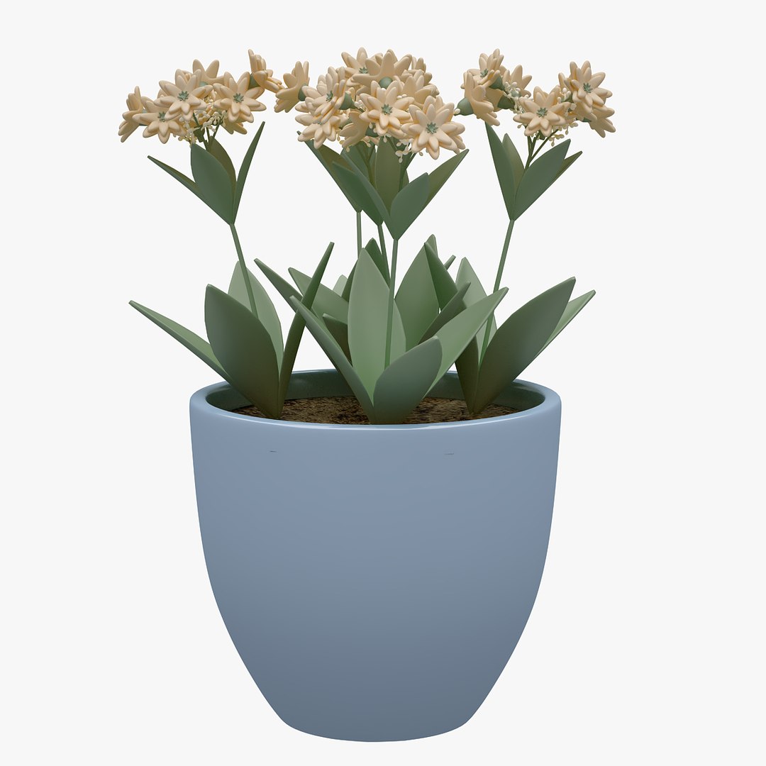 flower 3D model https://p.turbosquid.com/ts-thumb/cm/Zbv65r/RKmIl8y5/00301/jpg/1565349195/1920x1080/fit_q87/1e4b7e0ad7b714765189483d3c32e86fb616d366/00301.jpg