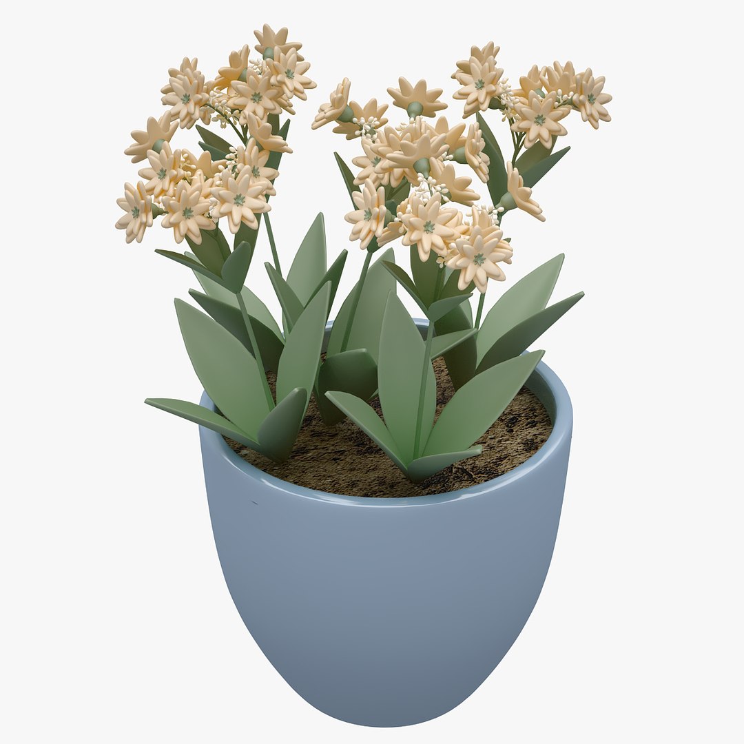 flower 3D model https://p.turbosquid.com/ts-thumb/cm/Zbv65r/RLWMipDK/00401/jpg/1565349210/1920x1080/fit_q87/997fa45d412272be7f83168bbeba84a65e8f1782/00401.jpg