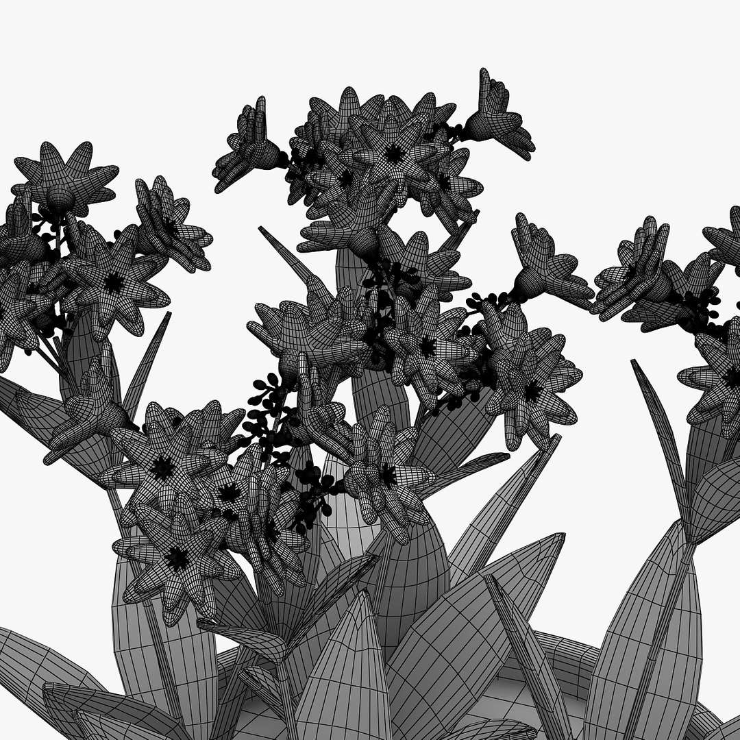 flower 3D model https://p.turbosquid.com/ts-thumb/cm/Zbv65r/WirJA6Tt/01001/jpg/1565349315/1920x1080/fit_q87/5ca68c4e1c2d4382b5489ae93382613093dd3ef2/01001.jpg