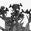 Flower 10