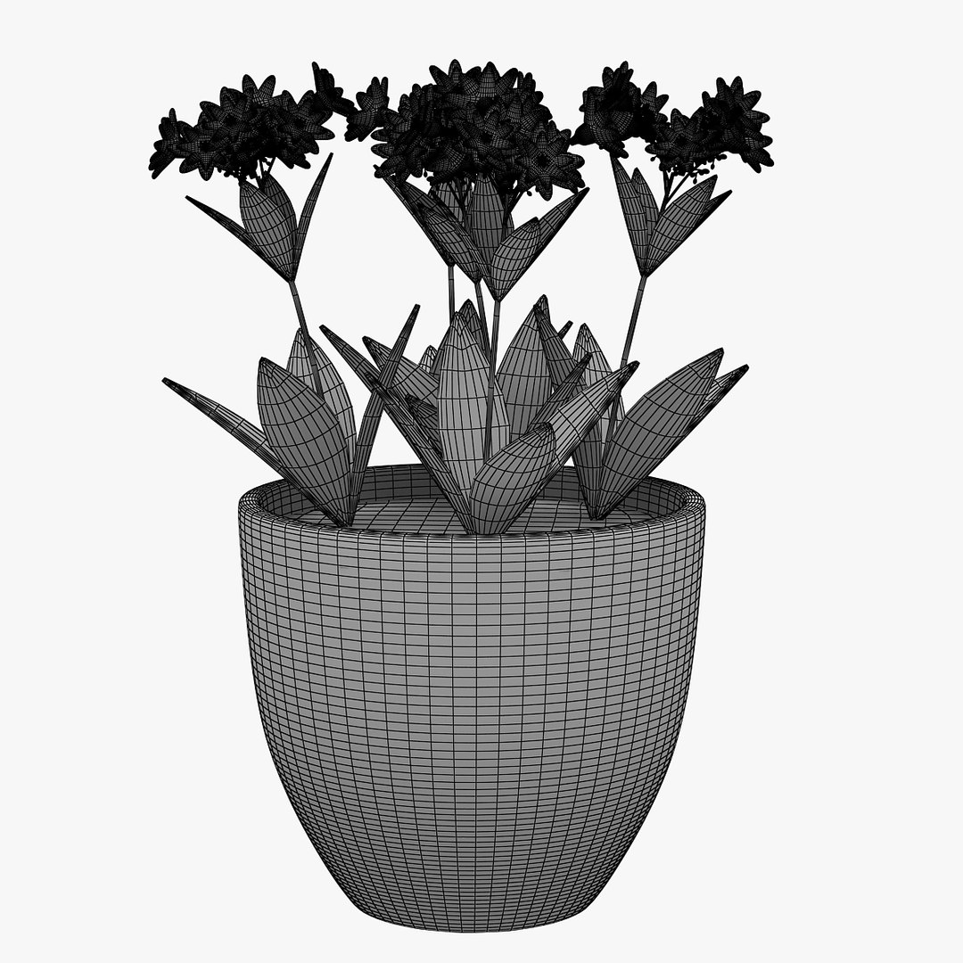 flower 3D model https://p.turbosquid.com/ts-thumb/cm/Zbv65r/anewVWyT/00801/jpg/1565349275/1920x1080/fit_q87/dde7557985a75afa34ab33bfb6723c9b885f402b/00801.jpg