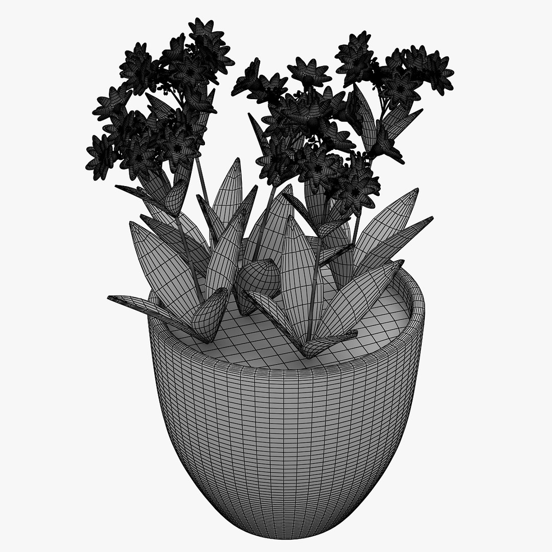 flower 3D model https://p.turbosquid.com/ts-thumb/cm/Zbv65r/ztt1yOaG/00901/jpg/1565349293/1920x1080/fit_q87/0c5ca5ecdc1ecedd8424eeaa92f34b7b4d301f22/00901.jpg