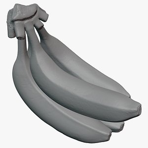 Banana Stem with Remaining Bananas - For 3D Print model