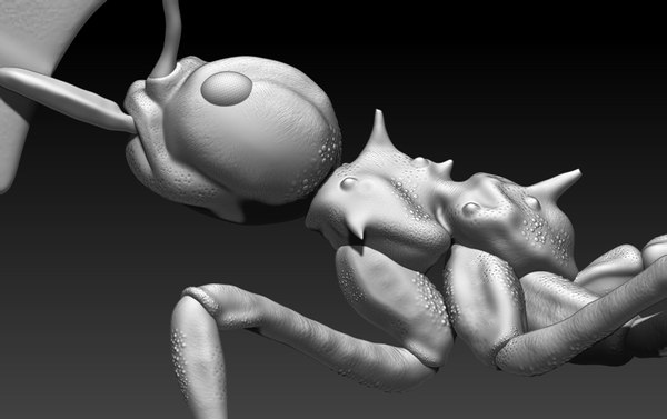 Ant 3D - TurboSquid 1403070