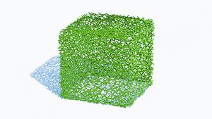 3D model Taxus Media-Square
