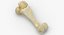 Real Domestic Pig Sus Domesticus Humerus Bone 01