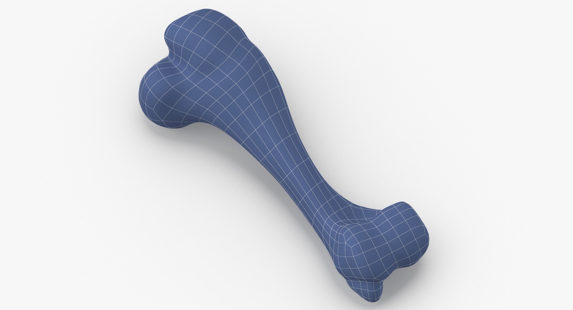 3D domestic pig sus domesticus model https://p.turbosquid.com/ts-thumb/cn/mfrWCa/rr0bU6sc/domestic_pig_sus_domesticus_humerus_bone_01_wireframe_0002/jpg/1592910197/1920x1080/fit_q87/910327959936d3ca59f88f296ac864adb432be64/domestic_pig_sus_domesticus_humerus_bone_01_wireframe_0002.jpg