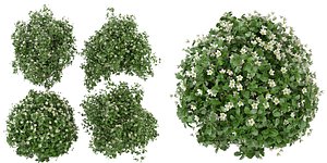 3D Collection plant vol 357 - blender model