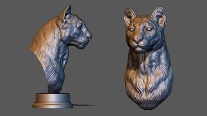 3D Puma cougar bust