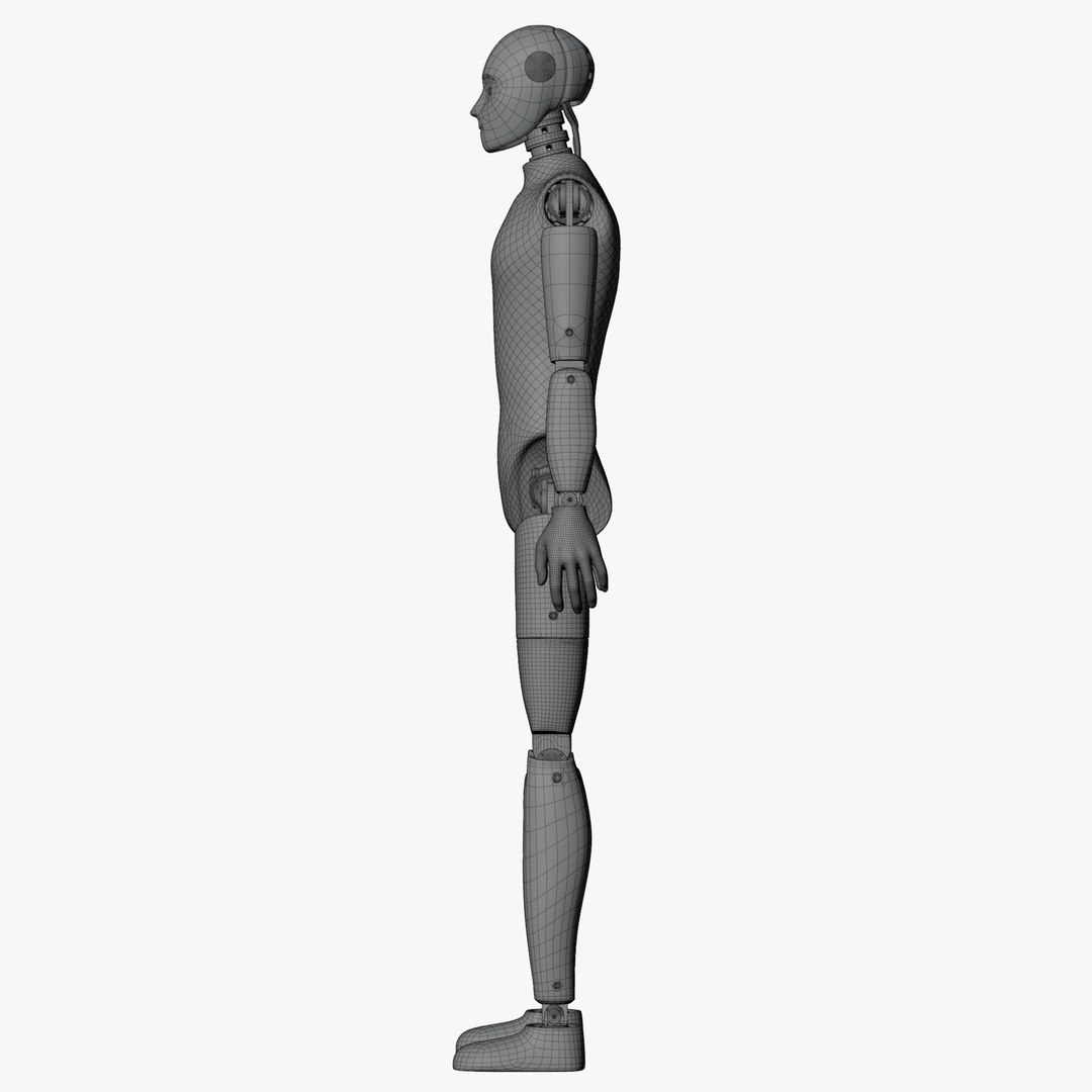 3D Crash Test Male Mannequin model https://p.turbosquid.com/ts-thumb/cn/yObRC2/96/wire3603/png/1708341073/1920x1080/fit_q87/80a176f7ebf9ecf34f5466753e40543807a398c3/wire3603.jpg