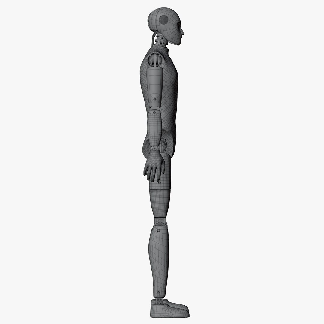 3D Crash Test Male Mannequin model https://p.turbosquid.com/ts-thumb/cn/yObRC2/c9/wire3606/png/1708341075/1920x1080/fit_q87/0a2f7d9df72e7a6873b1c0a050f97135a9e36d1c/wire3606.jpg