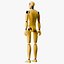 Maniquí masculino de prueba de choque