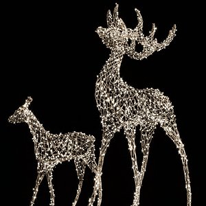 Deerland