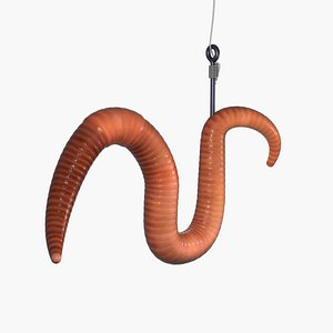 Earthworm and Hook Rigged 3D model