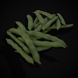 Fava Bean