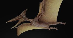 Pterodactyl Low-poly