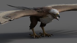 Giant Eagle - Rigged 3D model