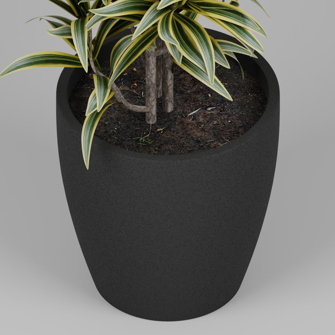 3D model small plant https://p.turbosquid.com/ts-thumb/co/YjN7ad/2J2O7UDh/preview02/png/1593997350/1920x1080/fit_q87/a3aed00a122360cc8d58f8a29412df12ab894470/preview02.jpg