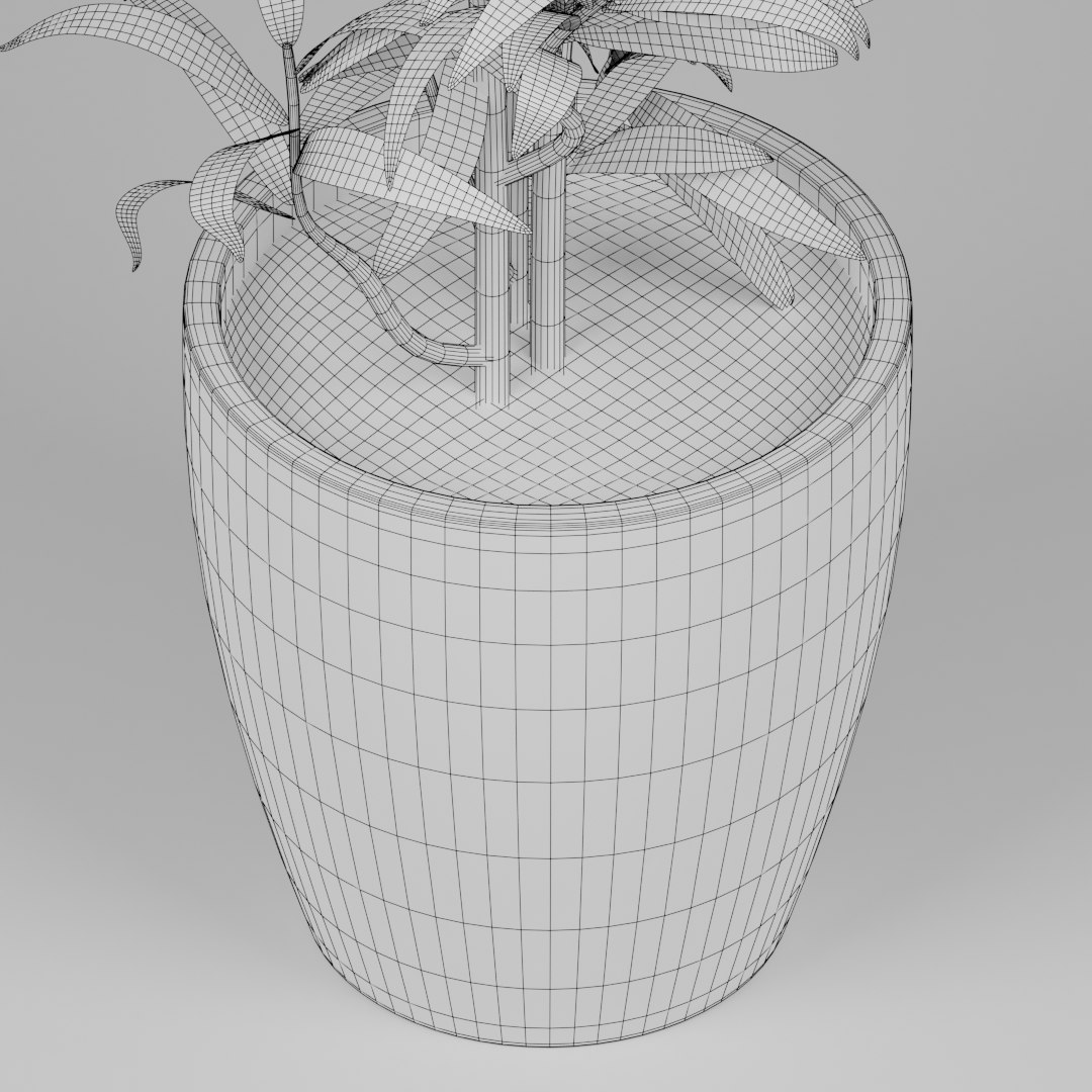 3D model small plant https://p.turbosquid.com/ts-thumb/co/YjN7ad/PD1gKoSv/preview10/png/1593997612/1920x1080/fit_q87/27bb5af14cb50fef6e5f95a3ea1621842c5e5afc/preview10.jpg