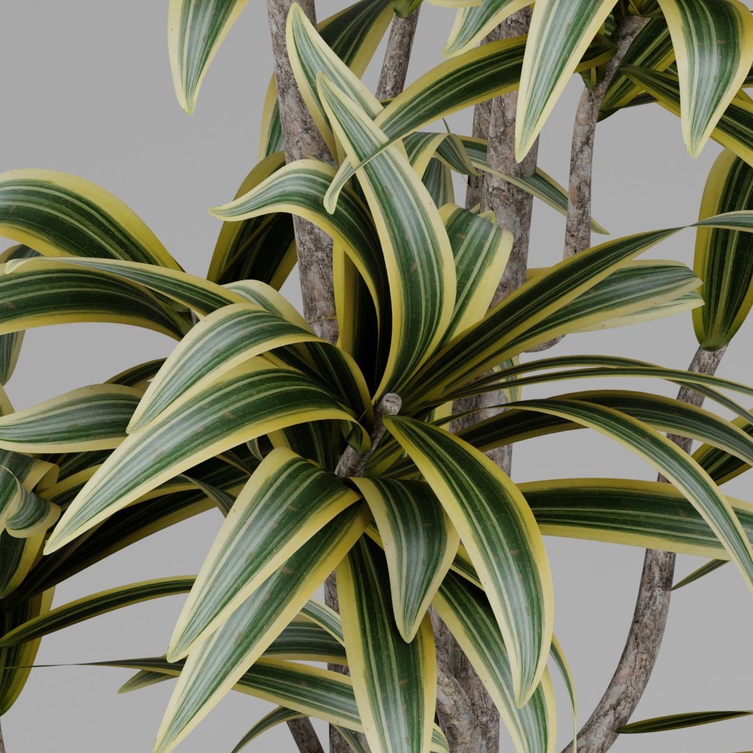 3D model small plant https://p.turbosquid.com/ts-thumb/co/YjN7ad/TYgxjfup/preview04/png/1593997447/1920x1080/fit_q87/15f2799cfa4e7470d31908f45200907f53785627/preview04.jpg