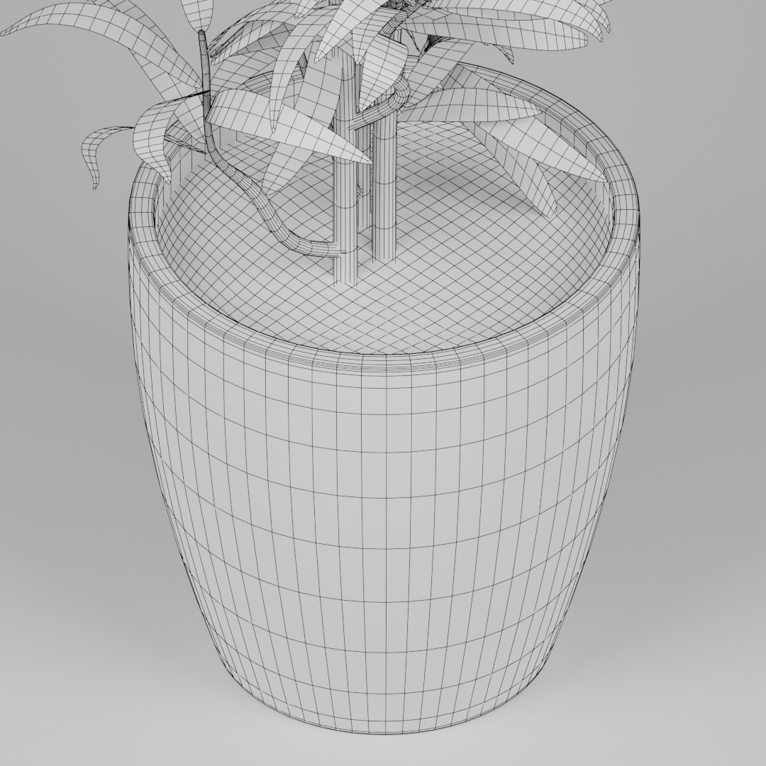 3D model small plant https://p.turbosquid.com/ts-thumb/co/YjN7ad/emEy2Lcj/preview09/png/1593997589/1920x1080/fit_q87/70a859a3989be7e3ec7c749d906a6825d045069f/preview09.jpg