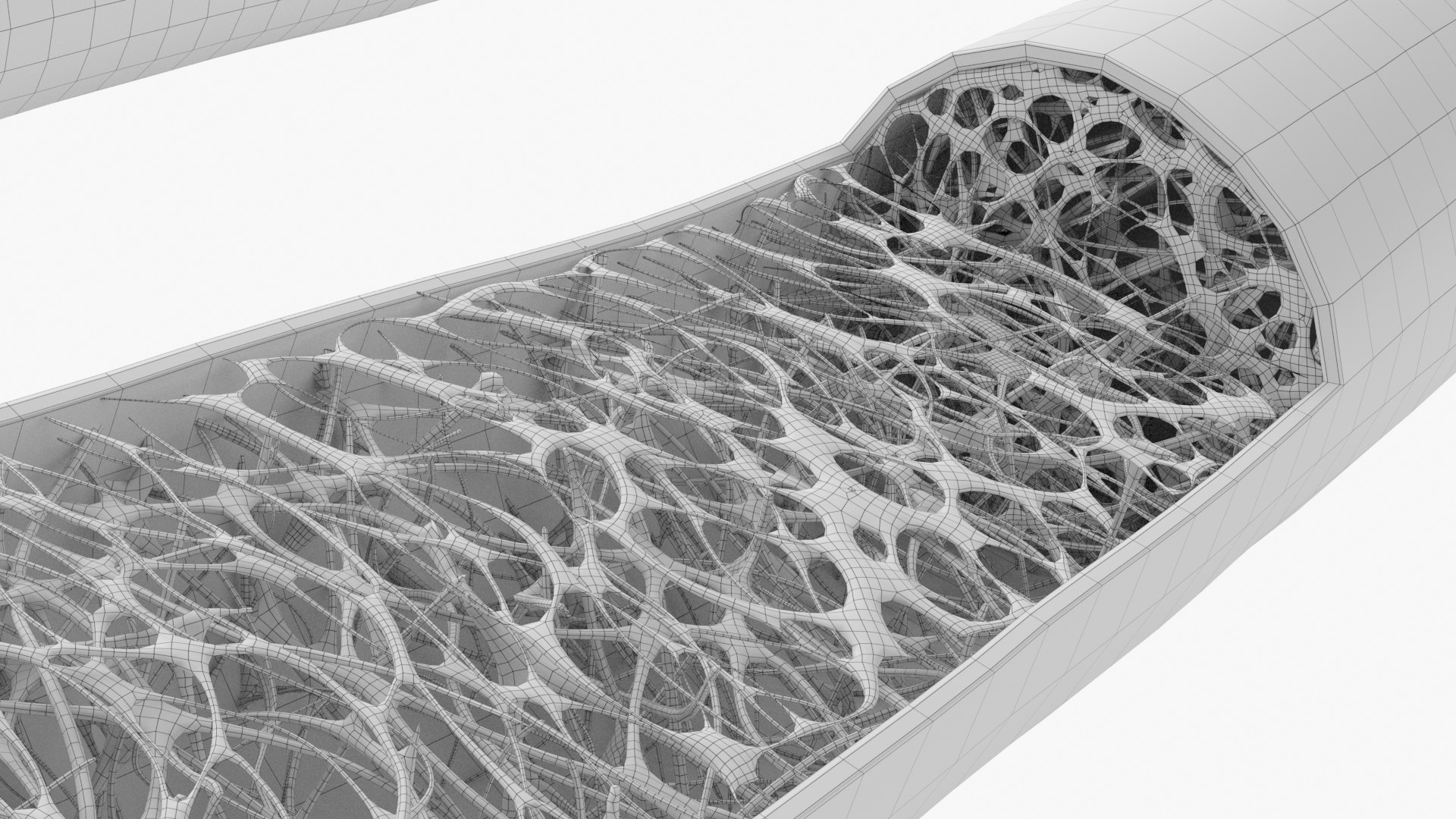 Femur Bone Structure 3D model https://p.turbosquid.com/ts-thumb/co/fdBWMv/Cb/wire_0007/jpg/1659275024/1920x1080/fit_q87/afd75fc2a94f62aa93a325a42e718e2a9bc3b1e4/wire_0007.jpg