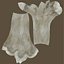 Femur Bone Structure