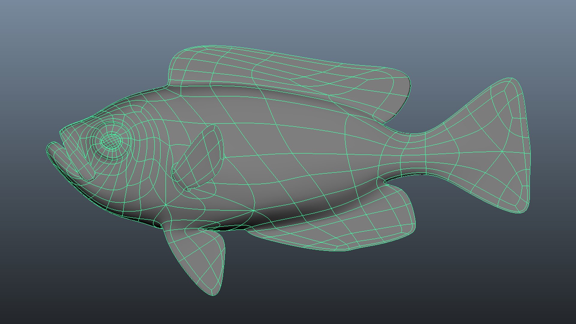 Snapper Collection 3D https://p.turbosquid.com/ts-thumb/co/w3sCnV/3e/wireframe2/jpg/1636989207/1920x1080/fit_q87/45ee832582dd70bc85d29086c6e4bc31aeb560bb/wireframe2.jpg