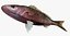 Collezione Snapper