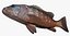 Collezione Snapper