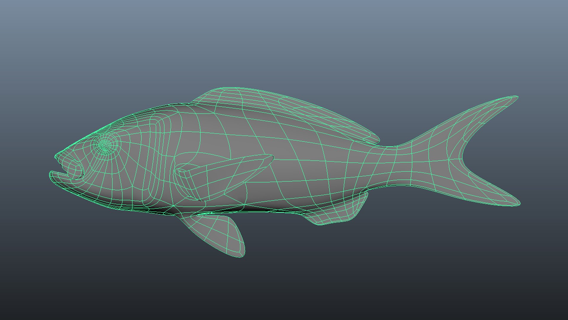 Snapper Collection 3D https://p.turbosquid.com/ts-thumb/co/w3sCnV/Qw/wireframe3/jpg/1636989204/1920x1080/fit_q87/61beab42143852bd0e673ab7a79bd43d05d04508/wireframe3.jpg