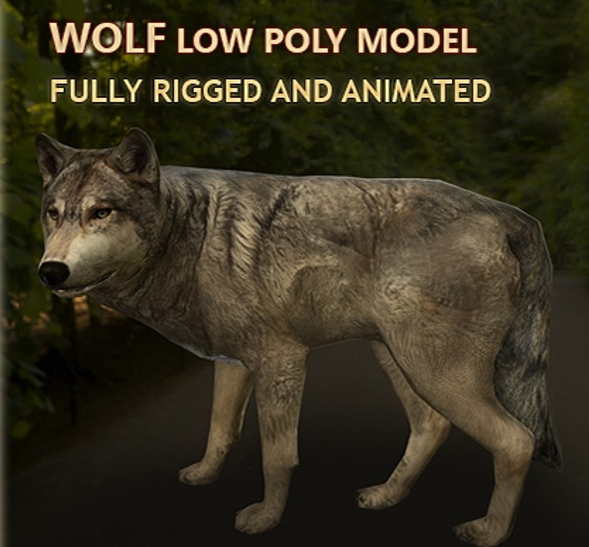 Wolf Rigged Animations 3d Model