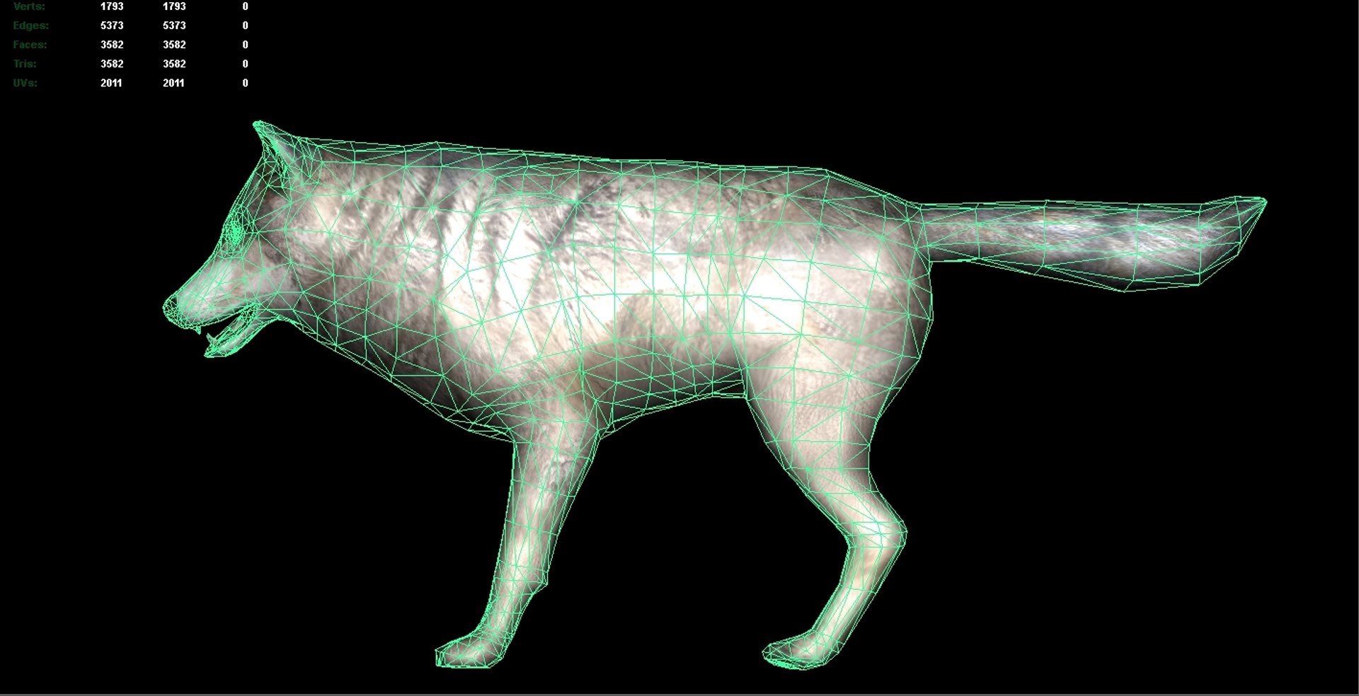 Wolf Rigged Animations 3d Model