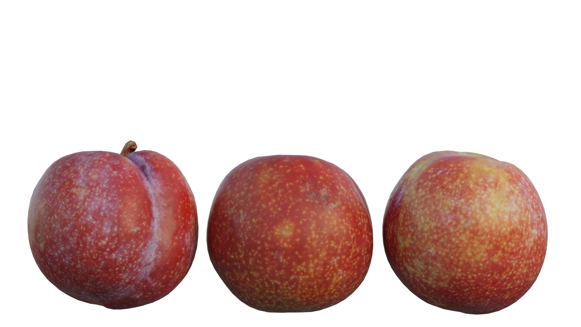 3D model Plum 08 https://p.turbosquid.com/ts-thumb/cp/7oEukv/O4/1_interactivelightmix/png/1657390500/1920x1080/fit_q87/6fa3015f719f4e69fc14a47fab61f9c5402fca3a/1_interactivelightmix.jpg
