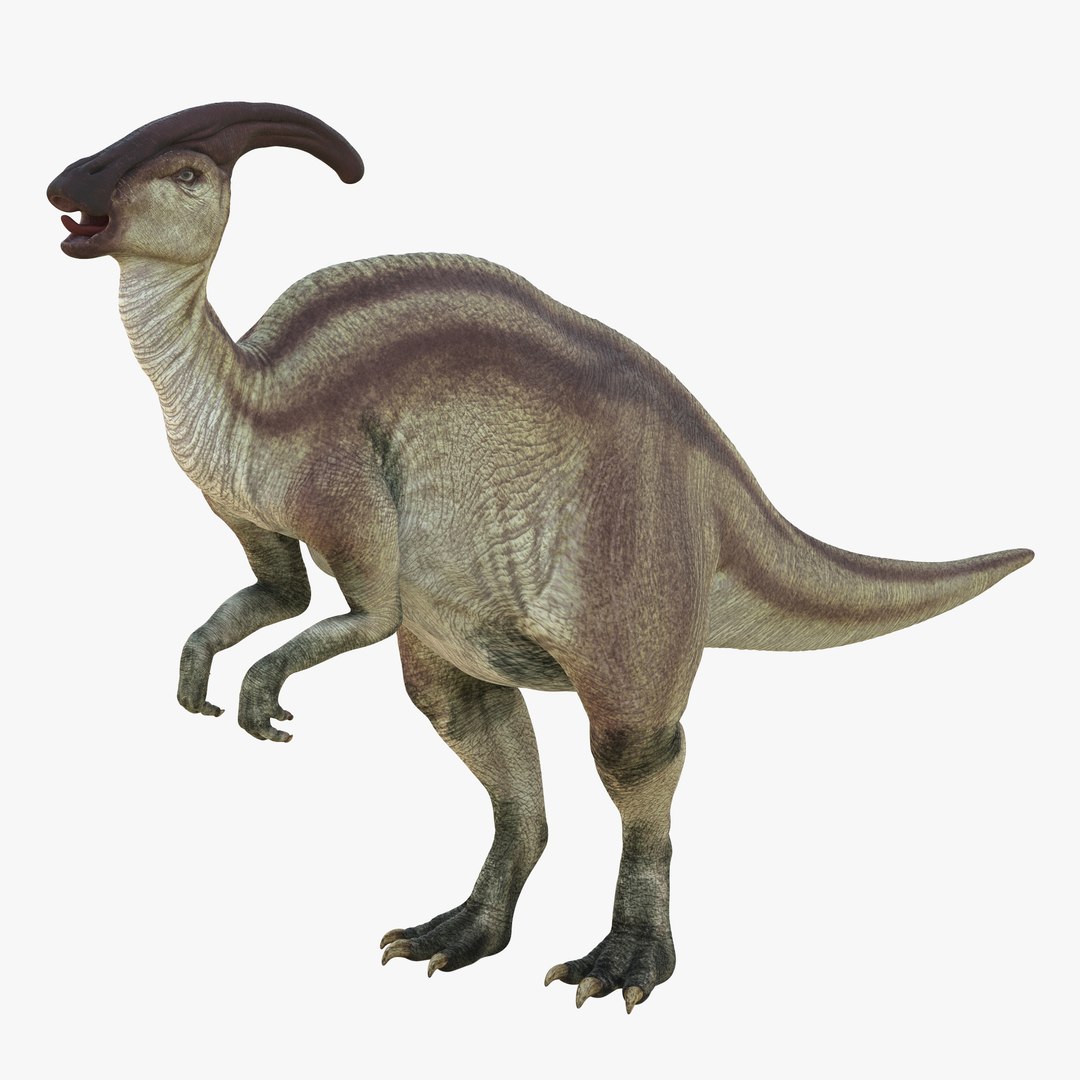 Parasaurolophus Rigged 3D model preview