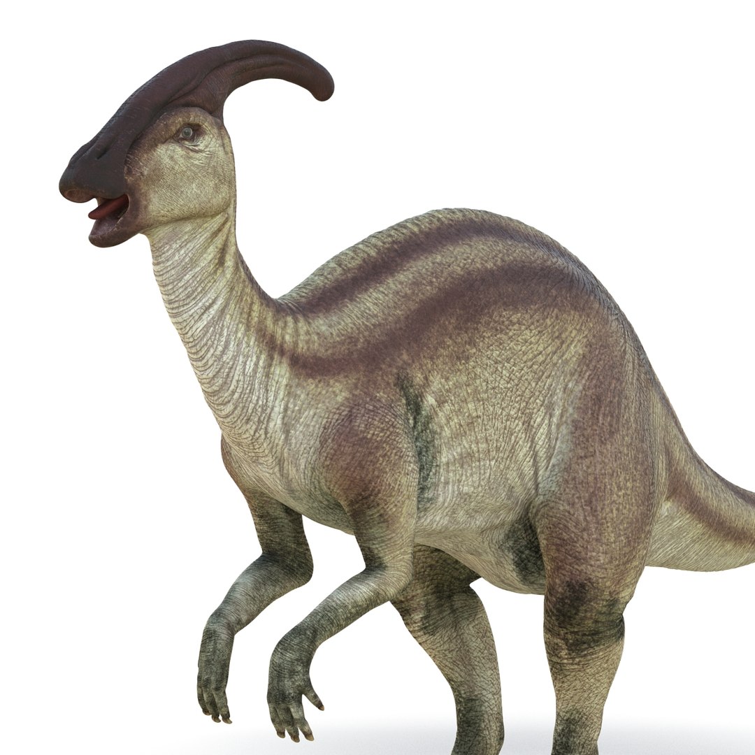 max parasaurolophus rigged