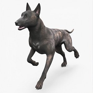 3D Dog Dutch Shepherd Running Pose