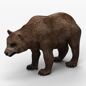 bear 3ds