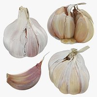 Garlic Collection 5