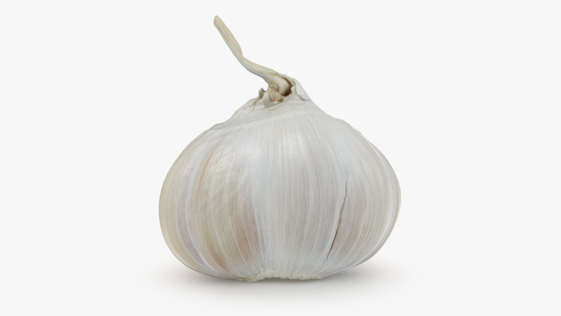 3D Garlic Collection 5 model https://p.turbosquid.com/ts-thumb/cp/Jou0yA/L5/garlic02/jpg/1726314683/1920x1080/turn_fit_q99/a3cacf84161c0e315970025bd44754ffdad88669/garlic02-1.jpg