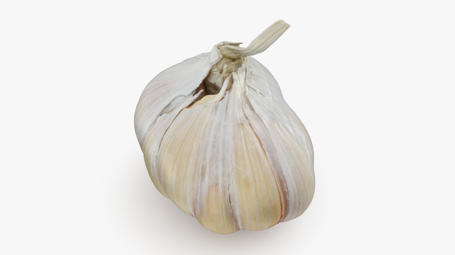 3D Garlic Collection 5 model https://p.turbosquid.com/ts-thumb/cp/Jou0yA/Uf/garlic02_a0001/jpg/1726314740/1920x1080/fit_q87/182dfb965e018a89897bb6b3ebdb4eac367ea303/garlic02_a0001.jpg
