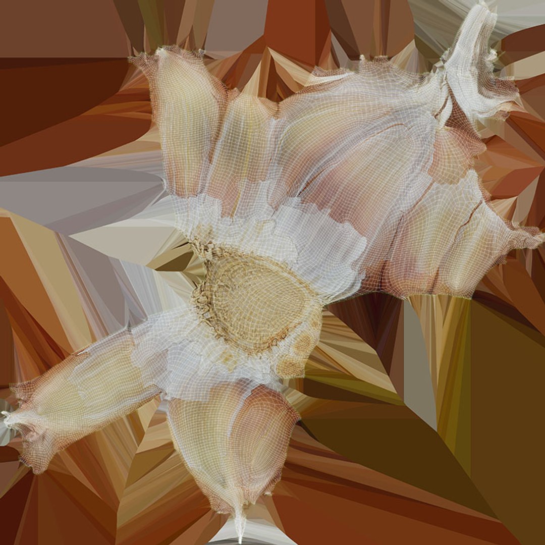 3D Garlic Collection 5 model https://p.turbosquid.com/ts-thumb/cp/Jou0yA/qK/garlic03_d0004/jpg/1725906957/1920x1080/fit_q87/27d566f03a1f9beefd1ceb3416765127730bbe97/garlic03_d0004.jpg